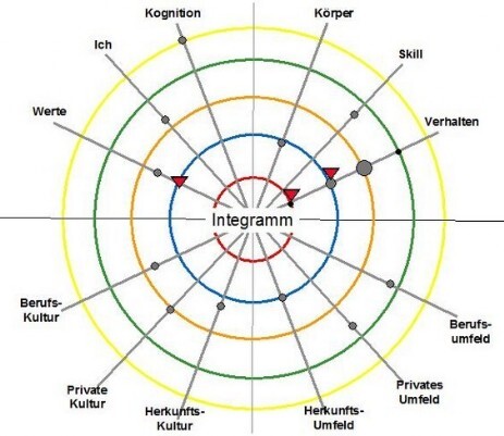 Beispiel Integramm Integrales Profil